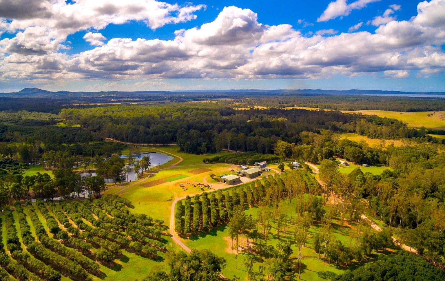 Aromas Noosa Restaurant & Bar The Heart of Hastings Street Noosa