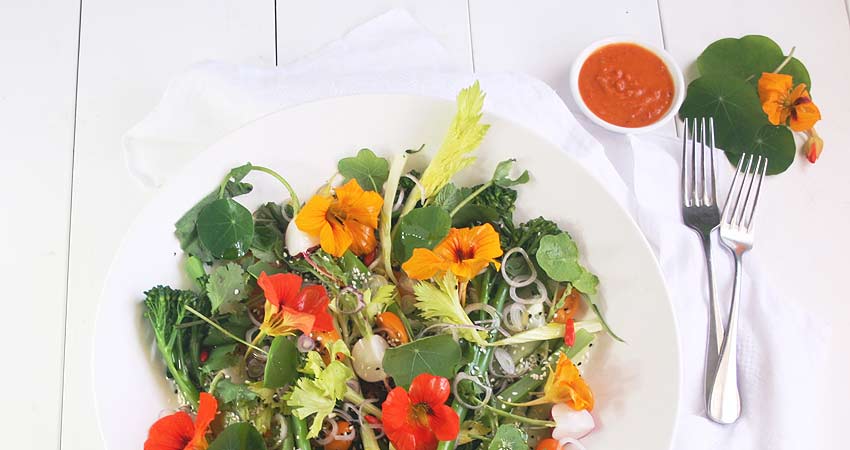 Blog Nasturtium And Hot Smoked Salmon Salad01