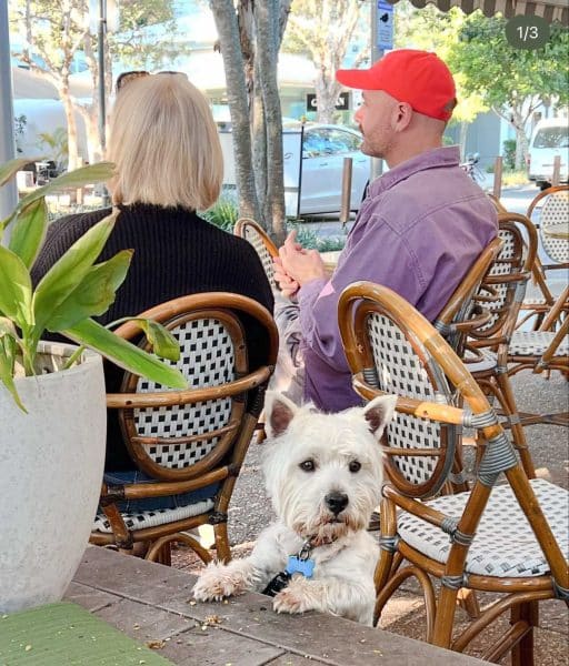 Noosa Dog Friendly Dinner Place